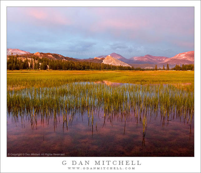 TuolumneAlpenglow2006|07|23: Tuolumne Meadows Alpenglow. Yosemite National Park. July 23, 2006. © Copyright G Dan Mitchell.    keywords: tuolumne meadows alpenglow sunset vivid colors lembert dome mount dana yosemite national park color photograph