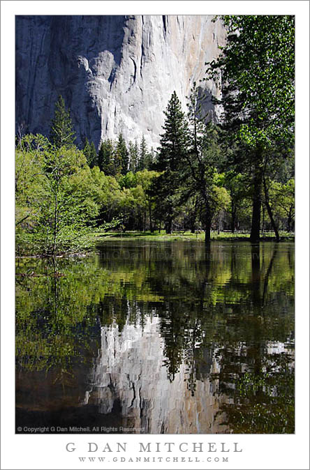 MercedElCap2005|05|21: Merced River and El Capitan. Yosemite National Park. May 21, 2005. © Copyright G Dan Mitchell.