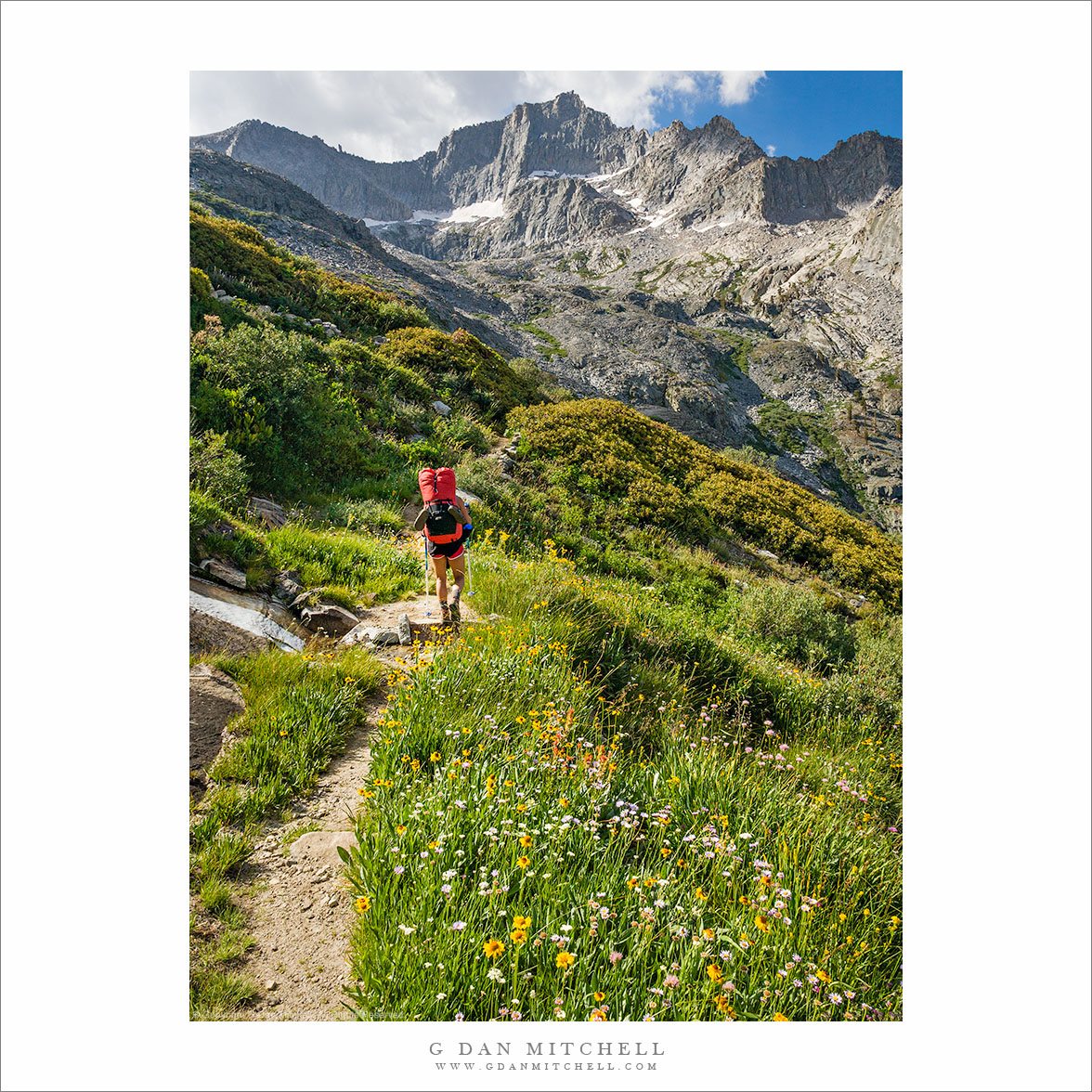 Ascending to Kaweah Gap