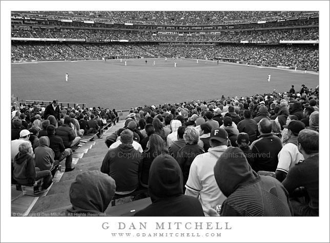 The Bleacher Seats, AT&T Park