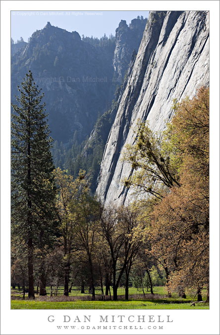 Lower Cathedral Rocks and El Capitan Meadow, Spring