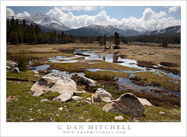 Spring, Dana Fork Meadow, Mounts Dana and Gibb