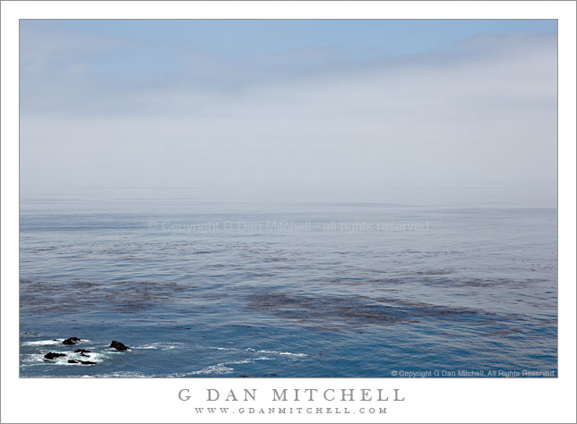 Pacific Ocean, Rocks, and Clearing Fog