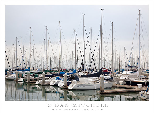 South Beach Harbor, Morning Fog