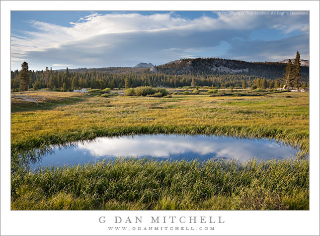 Spring Pond, Tuolumne Meadows