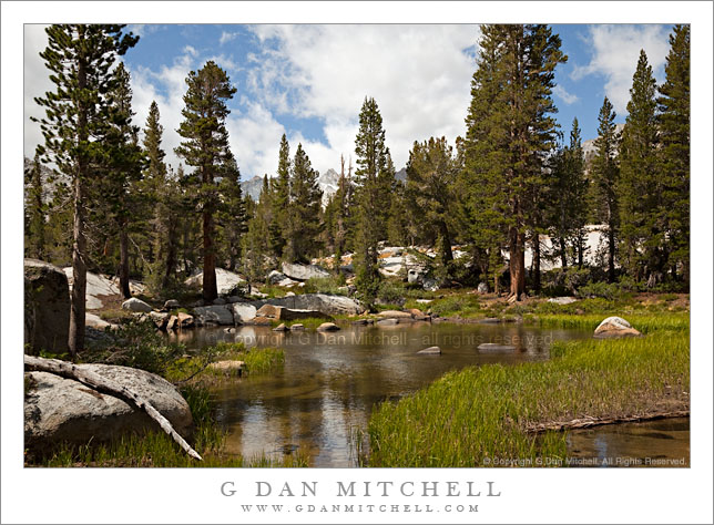 Unnamed Pond Near Blue Lake