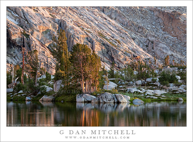 Shoreline, Upper Young Lake, Sunset