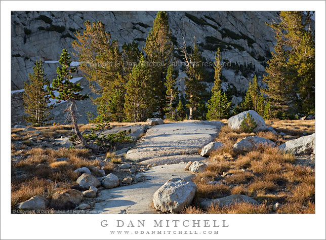 Granite, Meadow, and Trees - Fletcher Lake