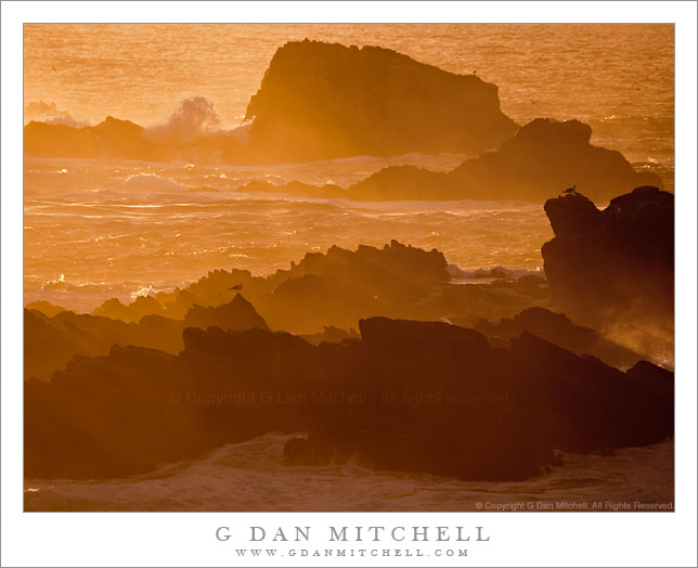 Rocks, Spray, and Gulls - Punta de los Lobos Marinos | G Dan Mitchell  Photography