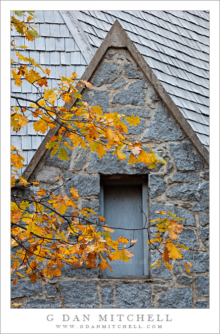 LeConte Memorial Lodge, Autumn Oak Leaves