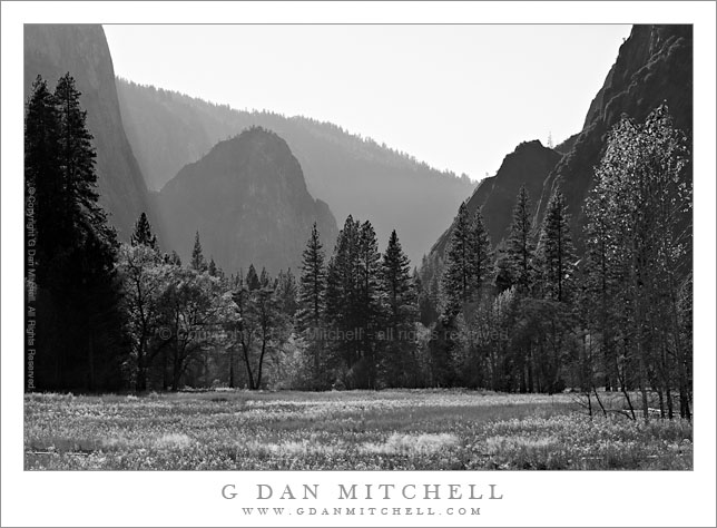 Leidig Meadow, Afternoon Light