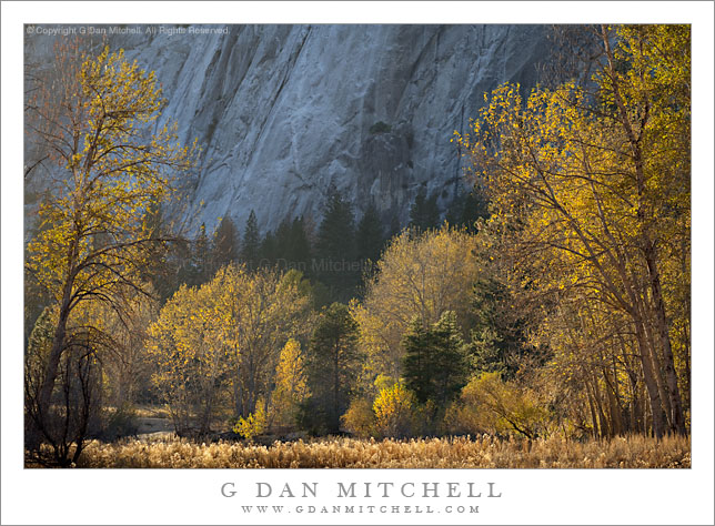 Fall Color, Leidig Meadow