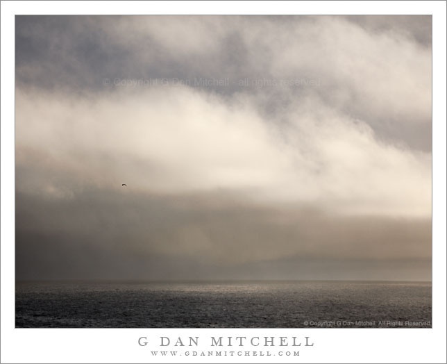 Squall, Point Lobos