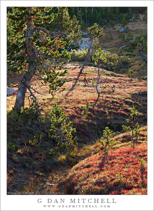 Dry Creek and Late-Season Meadow