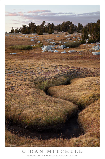 Late Season Subalpine Meadow and Creek