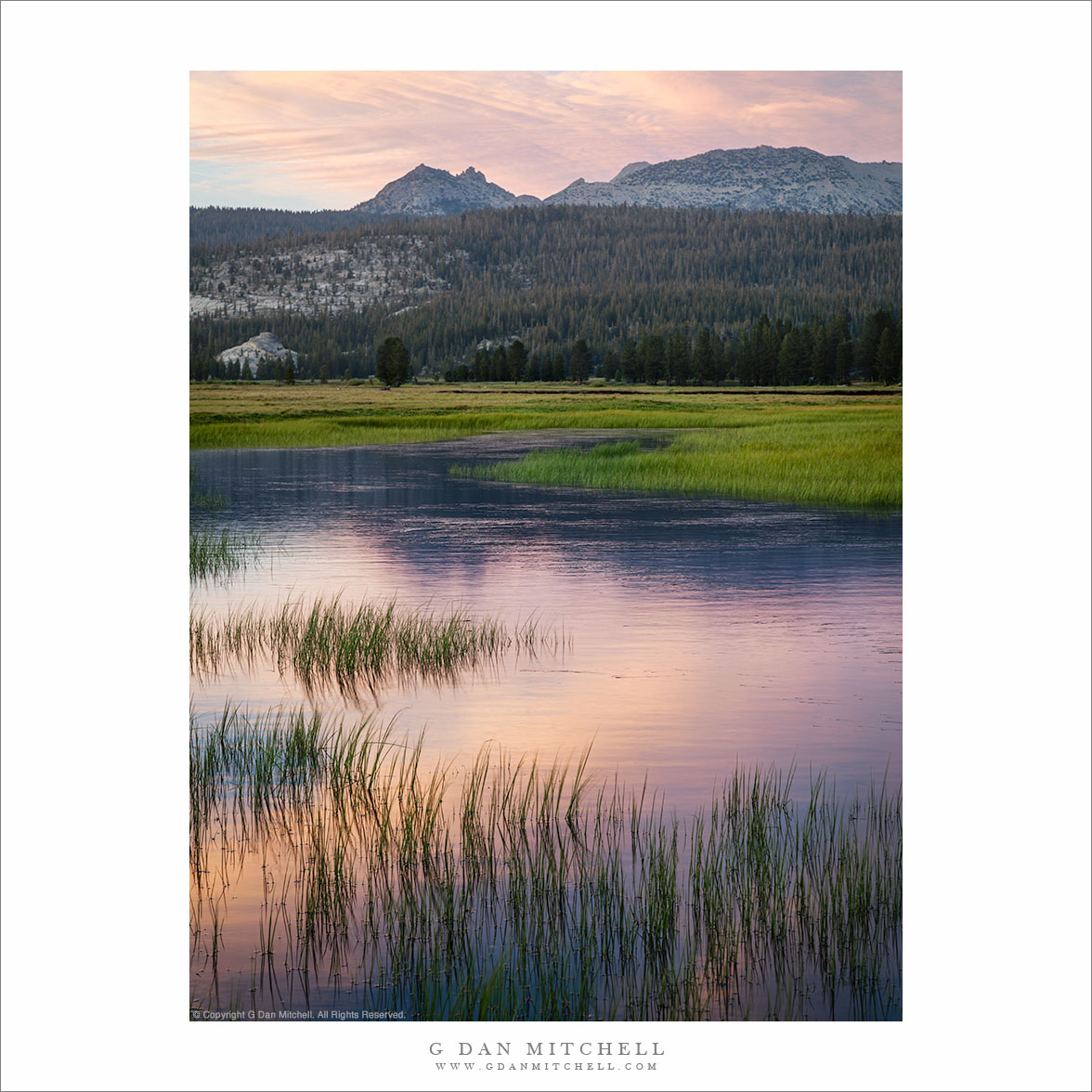 Runoff Pool, Evening