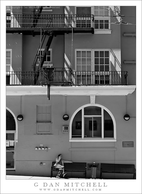 Man on Bench with Cell Phone