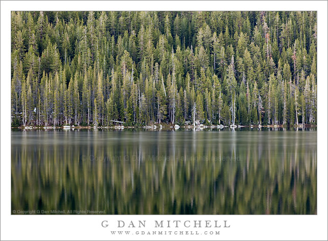 Forest and Lake, Morning