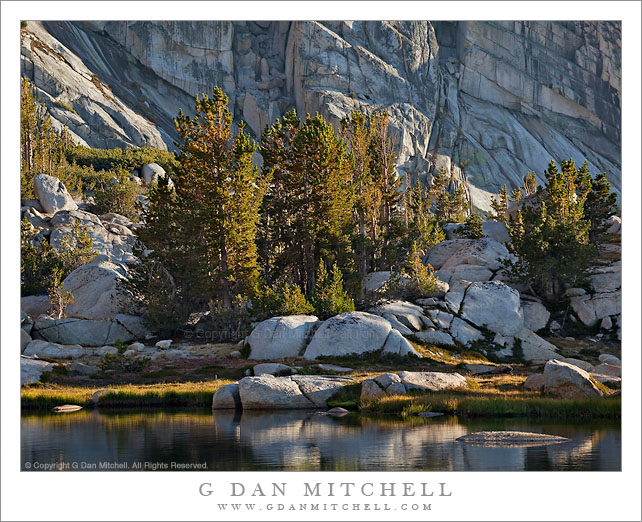 Boulders, Trees, and Cliff - Upper Young Lake