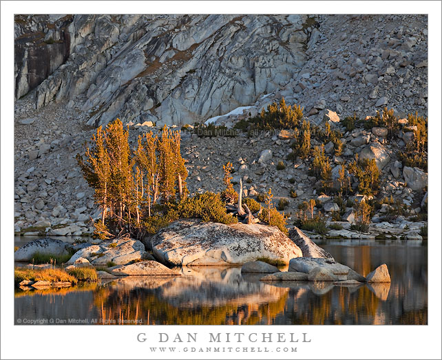 Upper Young Lake, Peninsula with Trees