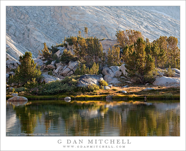 Shoreline, Upper Young Lake