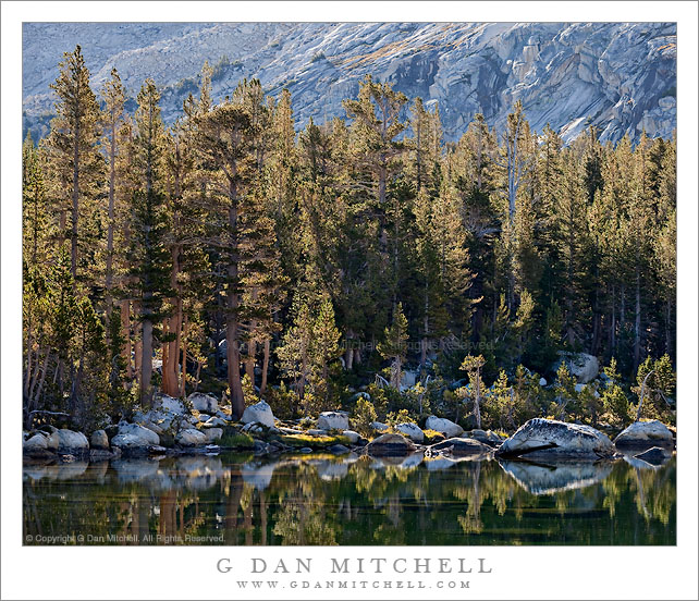 Morning, Shoreline of Lower Young Lake