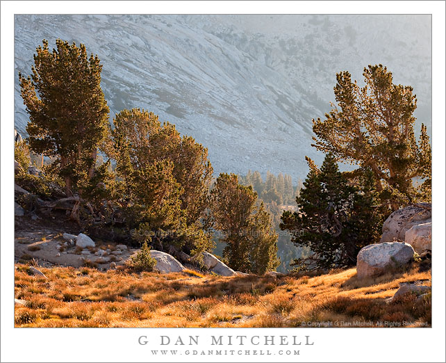 Autumn Light, Yosemite High Country