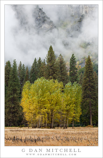 Ahwahnee Meadow, Cloud Shrouded Cliffs, Autumn