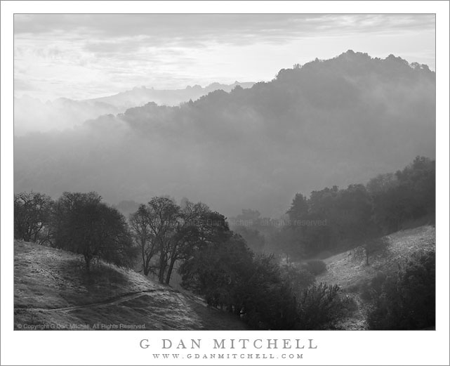 Oaks and Hills, Winter Fog