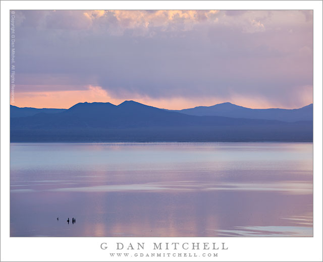 Purple Dawn, Mono Lake