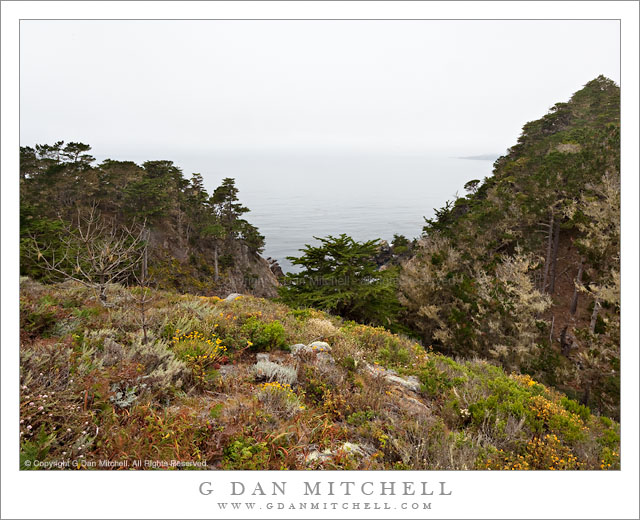 Whalers Knoll, Point Lobos