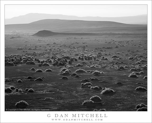 Devils Cornfield, Morning