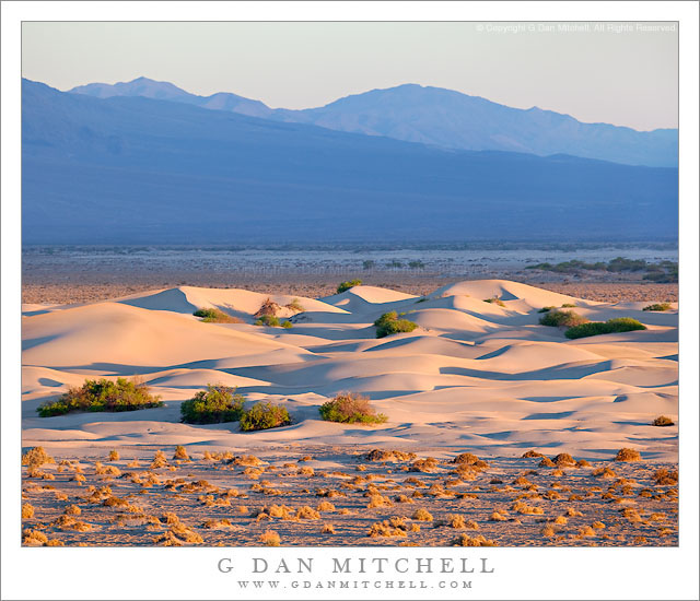 Dunes, Mesquite Flat, Sunrise