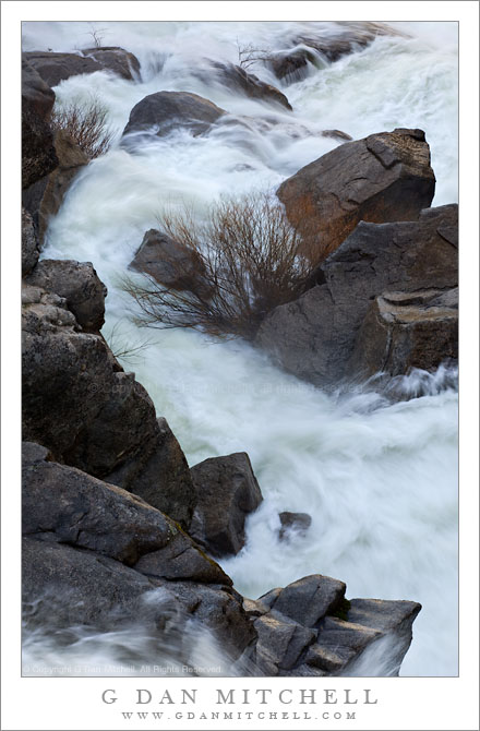 Spring Torrent, Cascade Creek