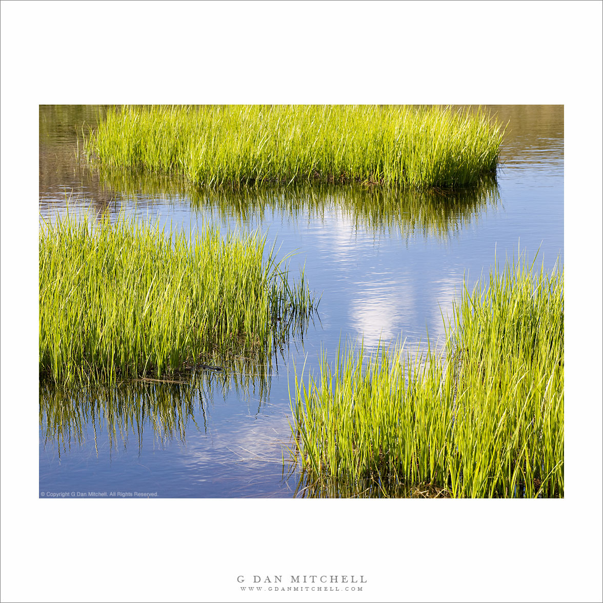 Shoreline Grasses and Subalpine Pond