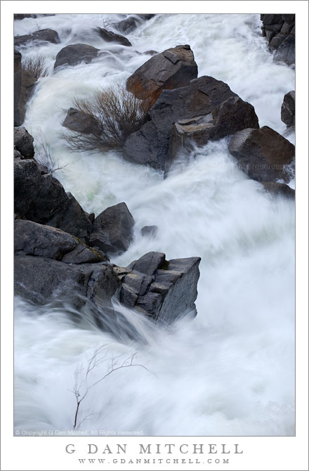 Cascade Creek Spring Torrent