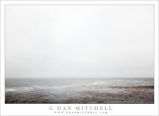 Kelp Bed and Fog, Pacific Ocean