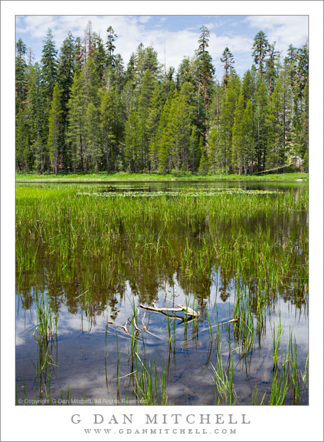 Siesta Lake, Summer