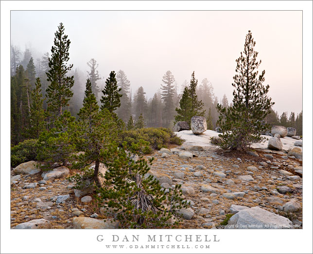 Evening Fog, Autumn