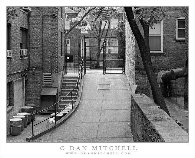 Driveway and Brick Homes