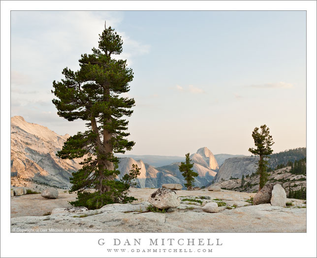 Granite and Trees, Olmsted Point