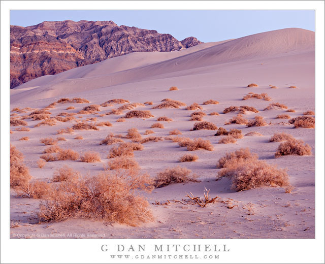 Eureka Valley Dunes, Dusk - Pink dusk light on the Eureka Valley Sand Dunes, Death Valley National Park.