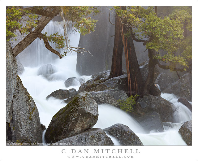 Spring Torrent, Boulders, and Trees - Spring snowmelt swells a rushing creek as it rushes past trees and over boulders, Yosemite National Park.