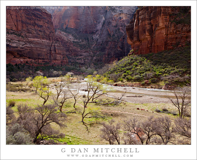 Zion Canyon, Virgin River, Spring - The Virgin River flows through Zion Canyon near Weeping Rock, Zion Canyon National Park, Utah.