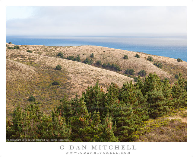 Hills and Trees Near Limantour, Drakes Bay - Soft sun light on trees and hills above Limantour Beach, as fog bank hovers over Drakes Bay, Point Reyes National Seashore.