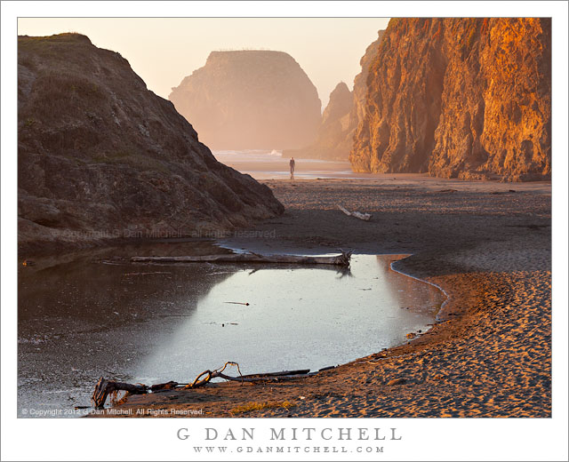 Beach Walker, Mendocino Coast - A person walks across a beach on the rugged Mendocino coast at sunset.