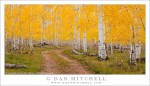 Aspen Grove, Old Road