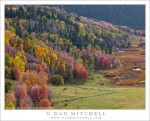 Utah Fall Color, Meadows