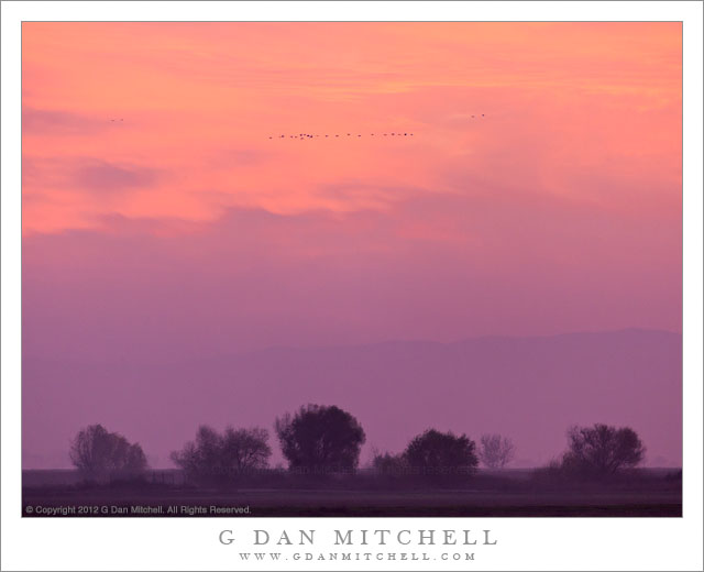 Central Valley, Winter Dusk