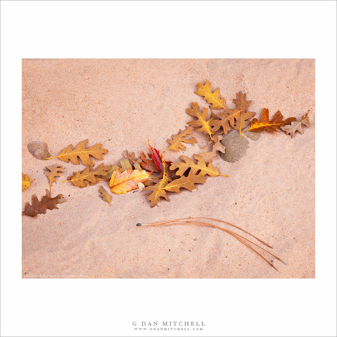 Autumn Leaves, Sand